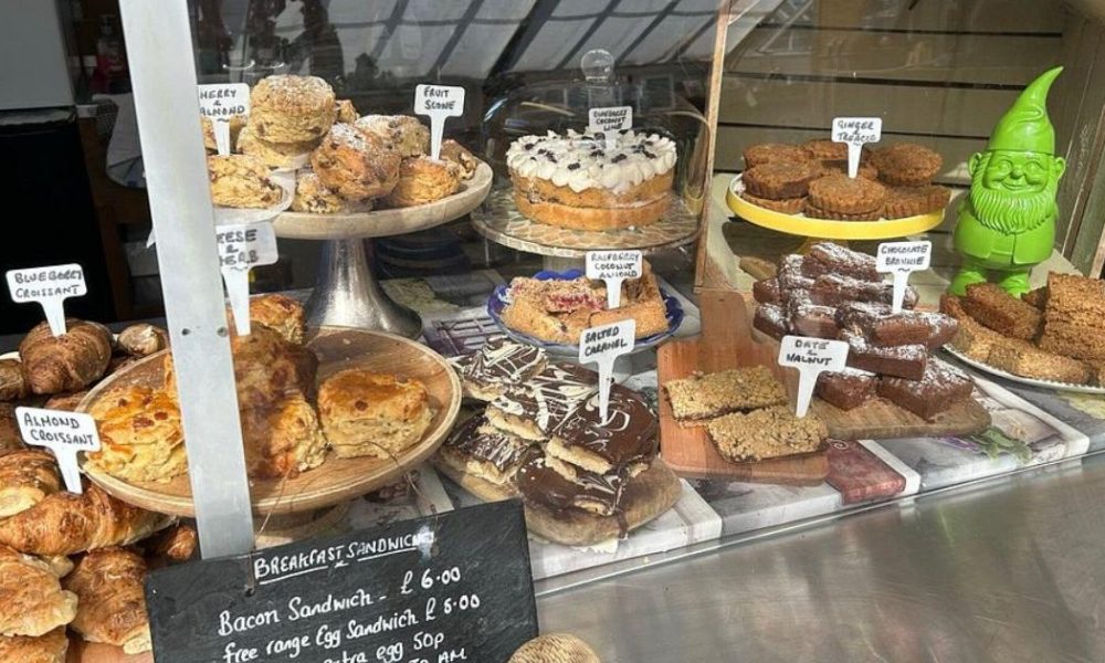 North Yorkshire glasshouse cafe in walled garden is a gem