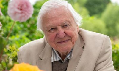 The secret to living to 100 years of age finally revealed