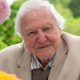 The secret to living to 100 years of age finally revealed