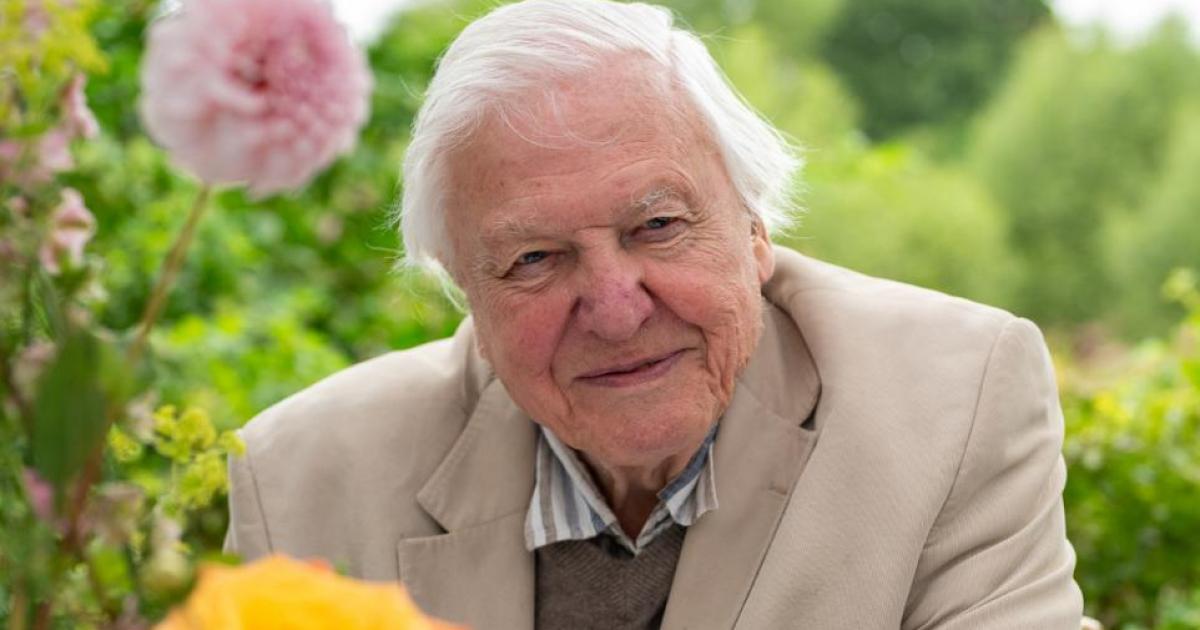The secret to living to 100 years of age finally revealed