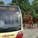 Rivington day tripper bus service returns for the summer