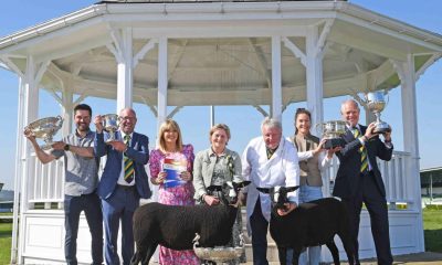 Great Yorkshire Show 2026 to host return of national shows