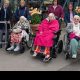 Mulberry Court residents enjoy tulips at Burnby Hall gardens