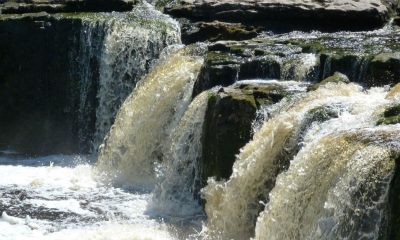 Walk from Redmire taking in Bolton Castle and Aysgarth Falls