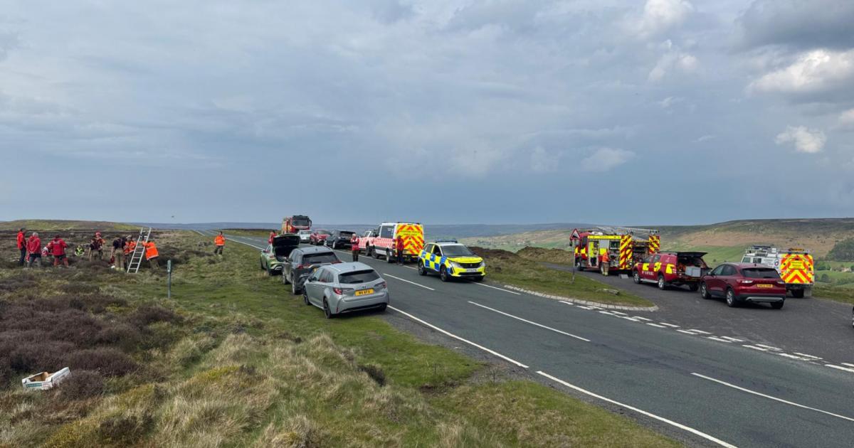 Dog saved in dramatic six hour pit rescue on North Yorkshire Moors