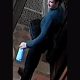 Thief steals bottle of gin from St Lawrence Church in York