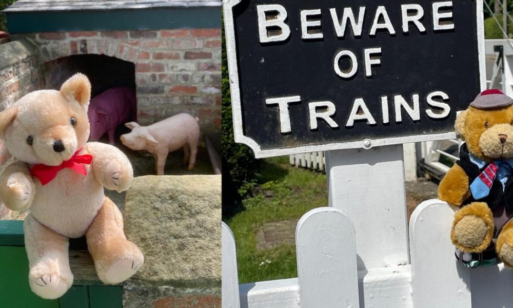 Teddy Bears’ Picnic returns to Wensleydale Railway this half-term