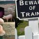 Teddy Bears’ Picnic returns to Wensleydale Railway this half-term