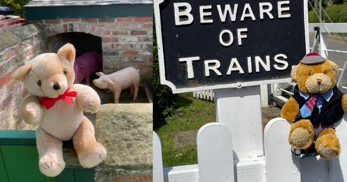 Teddy Bears’ Picnic returns to Wensleydale Railway this half-term