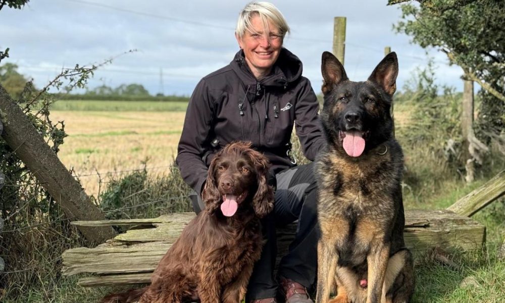 North Yorkshire retired police dogs require surgery