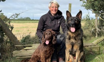 North Yorkshire retired police dogs require surgery