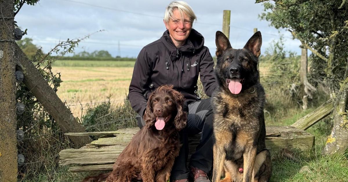 North Yorkshire retired police dogs require surgery