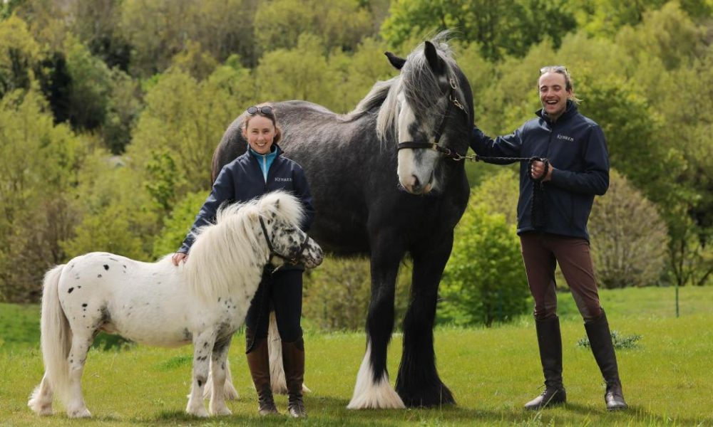 Horse duo to star at new Bishop Auckland attraction
