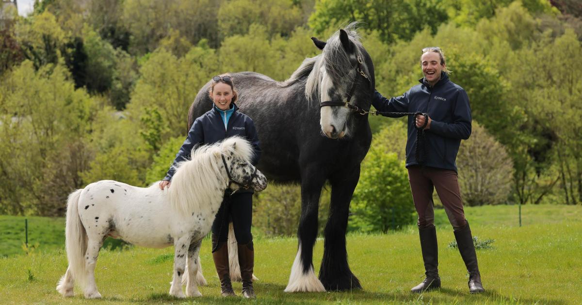 Horse duo to star at new Bishop Auckland attraction