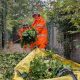 Neighbourhood Caretakers - City of York Council update