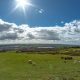Bolton weather forecast for Bank Holiday weekend