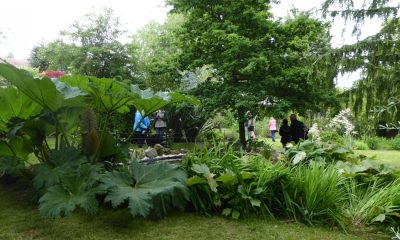 Mr Yorke’s Walled Garden to open for Richmond MayFest