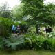 Mr Yorke’s Walled Garden to open for Richmond MayFest