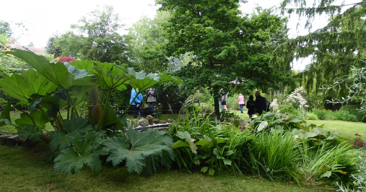 Mr Yorke’s Walled Garden to open for Richmond MayFest
