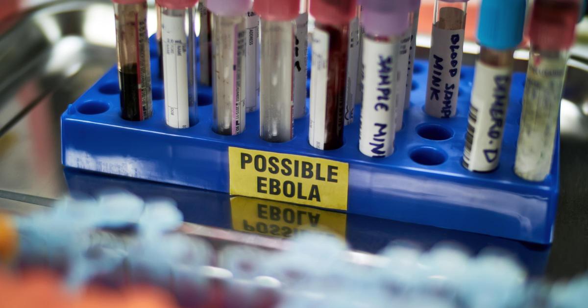 UK health officials issue Ebola update after outbreak abroad