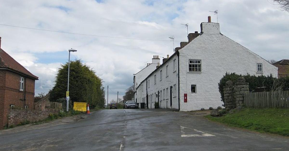 Much-loved cat shot in suspected rifle attack in Norton