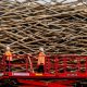 Final timber placed on The Lost Feather arena at Kynren