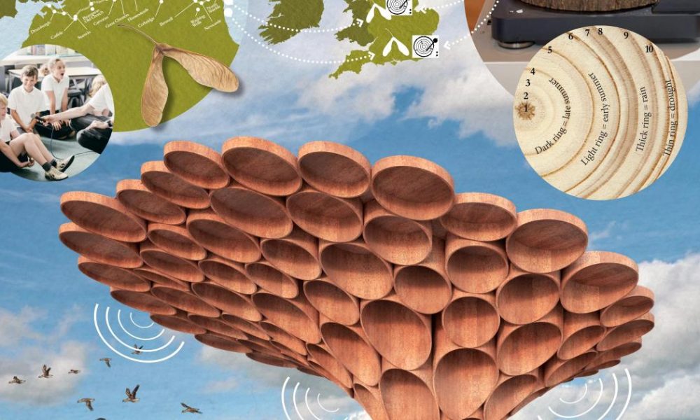 National Trust names winner of Sycamore Gap wood artwork