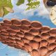 National Trust names winner of Sycamore Gap wood artwork