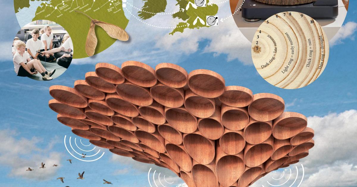 National Trust names winner of Sycamore Gap wood artwork