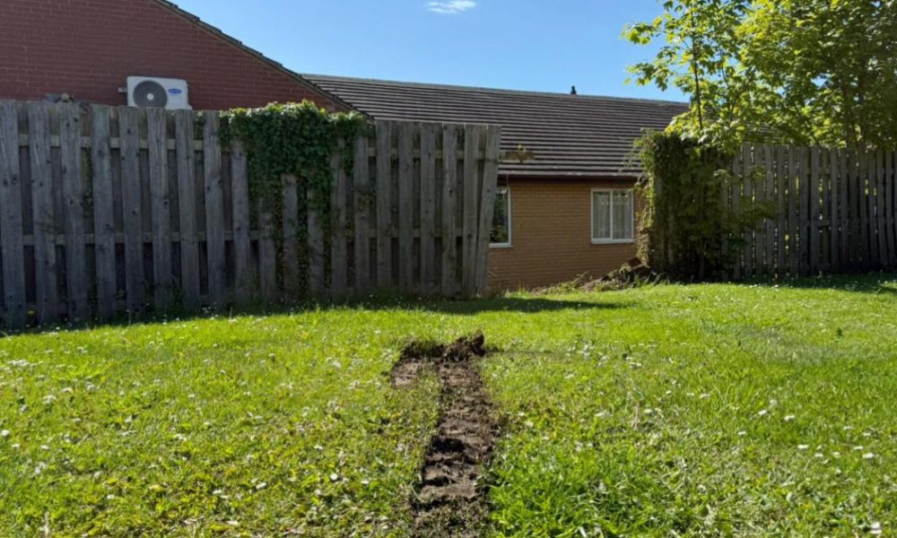 Car 'crashes into fence' at Portland Hub Willington care home