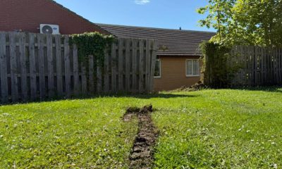 Car 'crashes into fence' at Portland Hub Willington care home