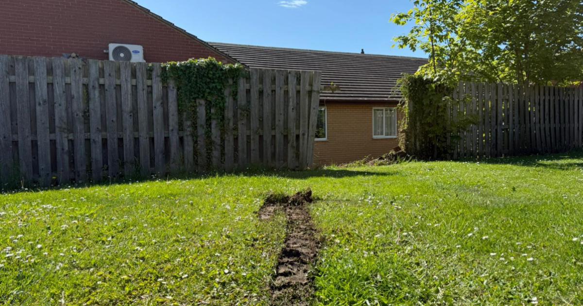 Car 'crashes into fence' at Portland Hub Willington care home