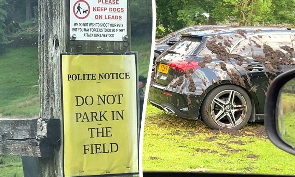 Farmer sprays slurry on cars parked illegally in the Lake District