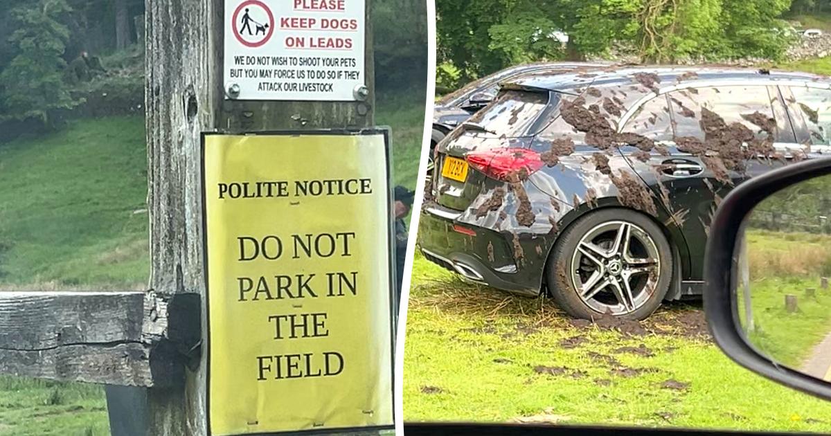 Farmer sprays slurry on cars parked illegally in the Lake District