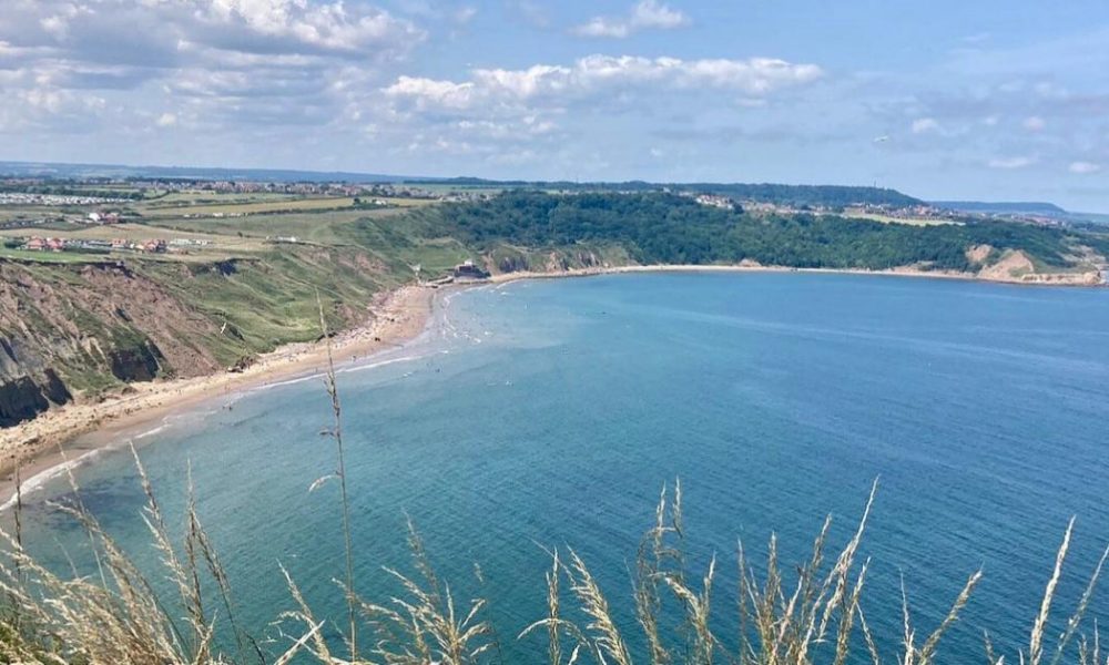 ‘Hidden gem’ Yorkshire beach that welcomes dogs all year round