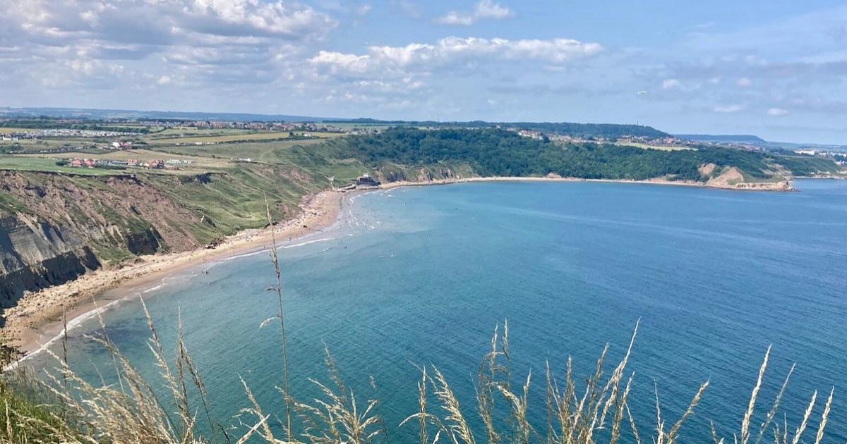 ‘Hidden gem’ Yorkshire beach that welcomes dogs all year round