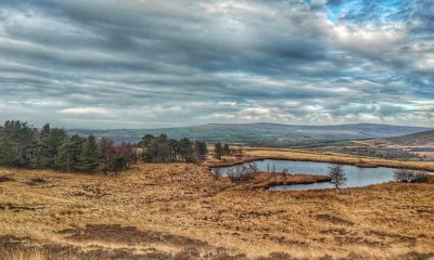 Scorton village guide - Nicky Nook, history and where to eat