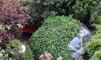 York - Acomb Opens Gardens sells out its first event