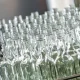 Wrong-headed regulation is a risk to UK glass