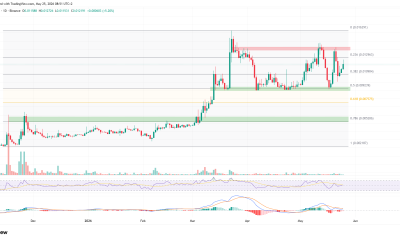 3 Meme Coins to Watch During the Final Week of May