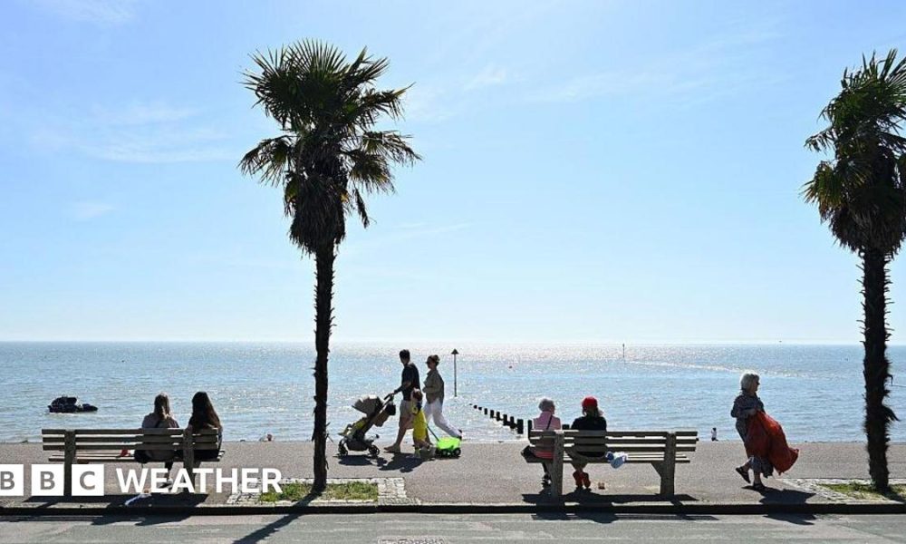 sunny scene of a coastal path where people are sitting on benches with other people walking along next to the glistening sea with blue skies overhead