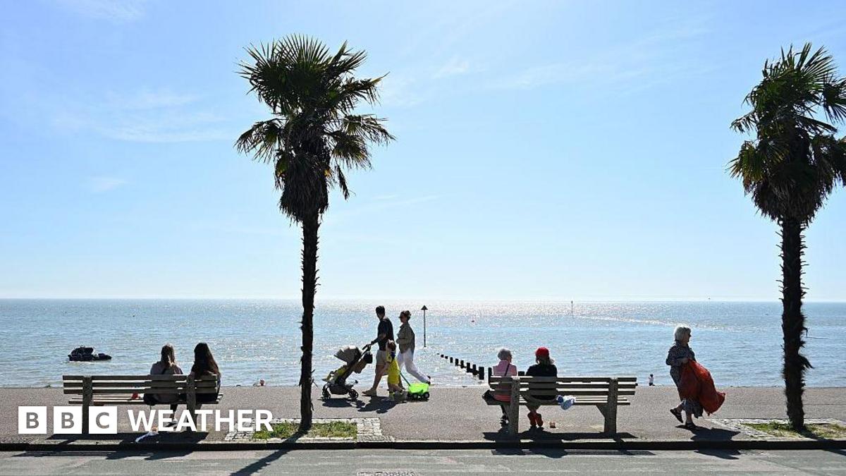 sunny scene of a coastal path where people are sitting on benches with other people walking along next to the glistening sea with blue skies overhead