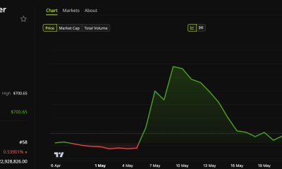Internet Computer (ICP) Price Performance