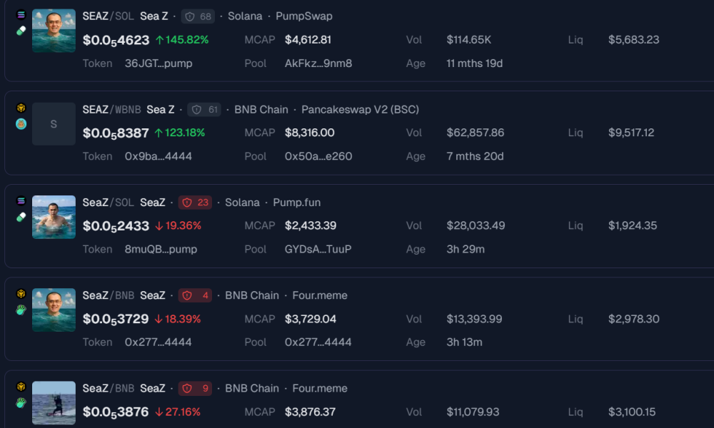SEAZ Meme Coins on Solana and BNB Chain