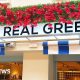 The Real Greek restaurant chain on brink of collapse