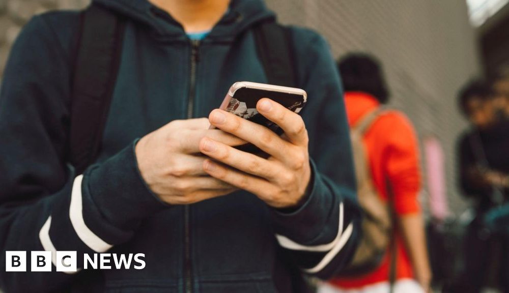 UK police bosses urge unsafe platforms to be blocked for under-16s