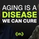AI in Healthcare? Pfizer, Anthropic, and Longevity Scientists Think It’s Critical
