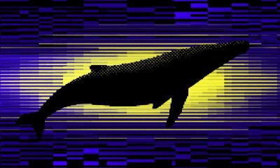 Cardano whales now hold 67% of ADA supply in highest share since 2020