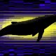 Cardano whales now hold 67% of ADA supply in highest share since 2020