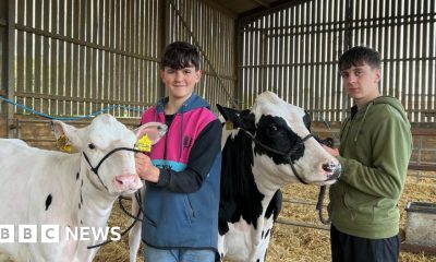 Farmers' warning as milk prices fall below cost
